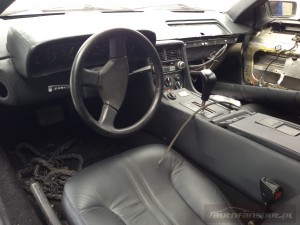 DeLorean DMC-12 autofanspot.pl foto (2)
